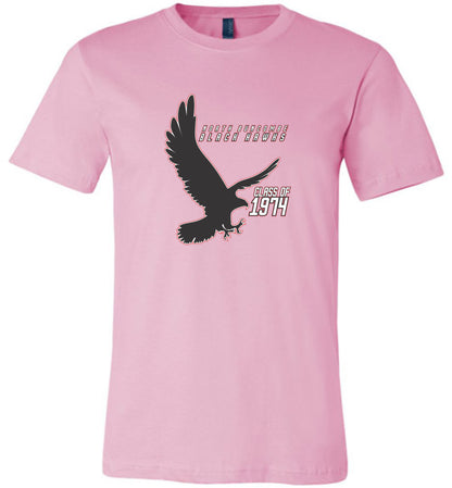 BLACK HAWKS! - Vintage 1974 Reunion Gear - Concept 002 Short Sleeve Unisex, Modern Sports Logo