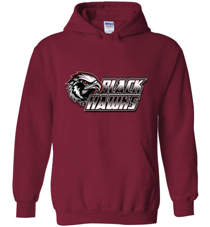 BLACK HAWKS! - Type 10 Heavy Blend Hoodie, Modern Sports Logo