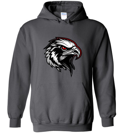 BLACK HAWKS! - Type 6 Heavy Blend Hoodie, Modern Sports Logo