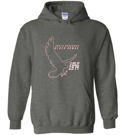 BLACK HAWKS! - Vintage 1974 Reunion Gear - Concept 002 Heavy Blend Hoodie, Modern Sports Logo