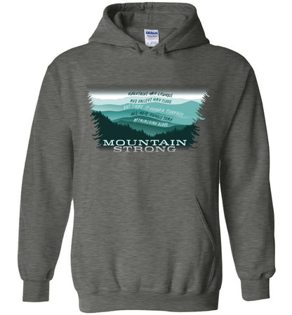 APPALACHIAN BLOOD - Hurricane Helene Disaster Fundraiser hoodie!