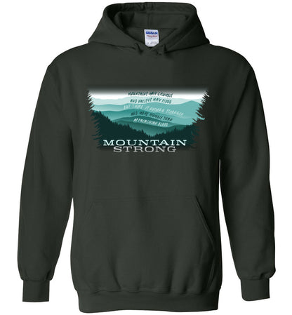 APPALACHIAN BLOOD - Hurricane Helene Disaster Fundraiser hoodie!