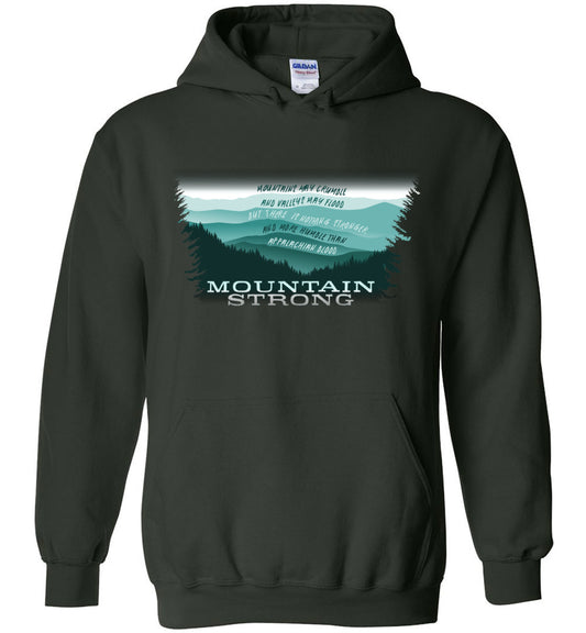 APPALACHIAN BLOOD - Hurricane Helene Disaster Fundraiser hoodie!