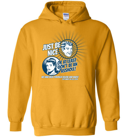 JUST BE NICE! - Hurricane Helene Disaster Fundraiser Hoodie!