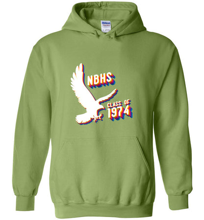 BLACK HAWKS! - Vintage 1974 Reunion Gear - Concept 001 Heavy Blend Hoodie, Modern Sports Logo