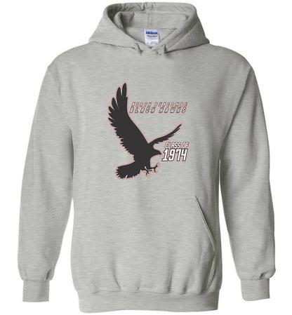 BLACK HAWKS! - Vintage 1974 Reunion Gear - Concept 002 Heavy Blend Hoodie, Modern Sports Logo