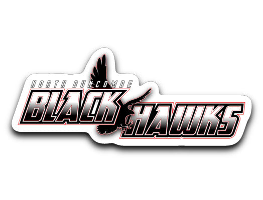 BLACK HAWKS! - Sticker - Type 7