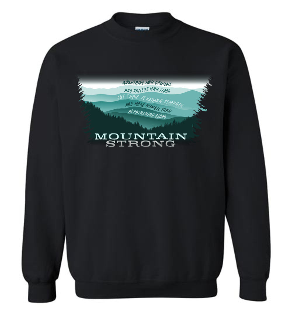 APPALACHIAN BLOOD - Hurricane Helene Disaster Fundraiser sweatshirt!