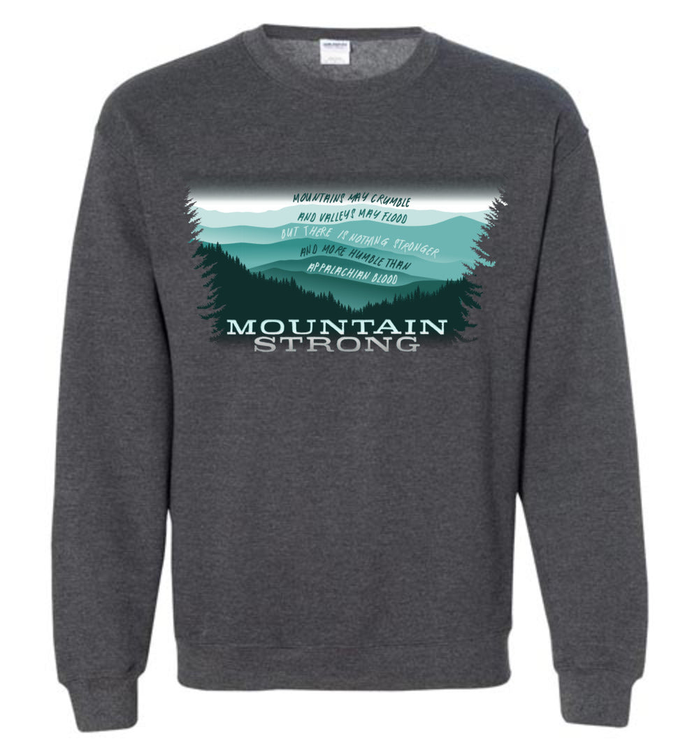 APPALACHIAN BLOOD - Hurricane Helene Disaster Fundraiser sweatshirt!