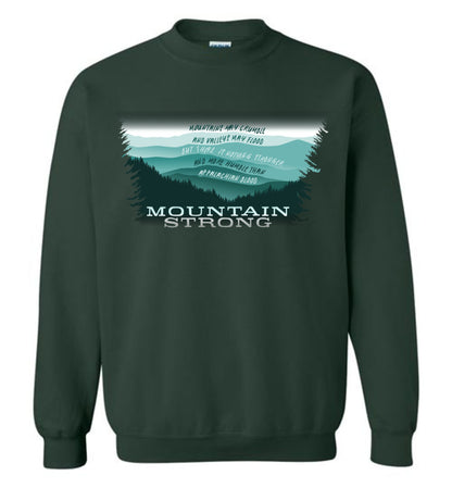 APPALACHIAN BLOOD - Hurricane Helene Disaster Fundraiser sweatshirt!