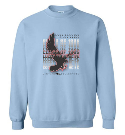 BLACK HAWKS! - Vintage 1985 Reunion Gear - Concept 001 Sweatshirt, Modern Sports Logo