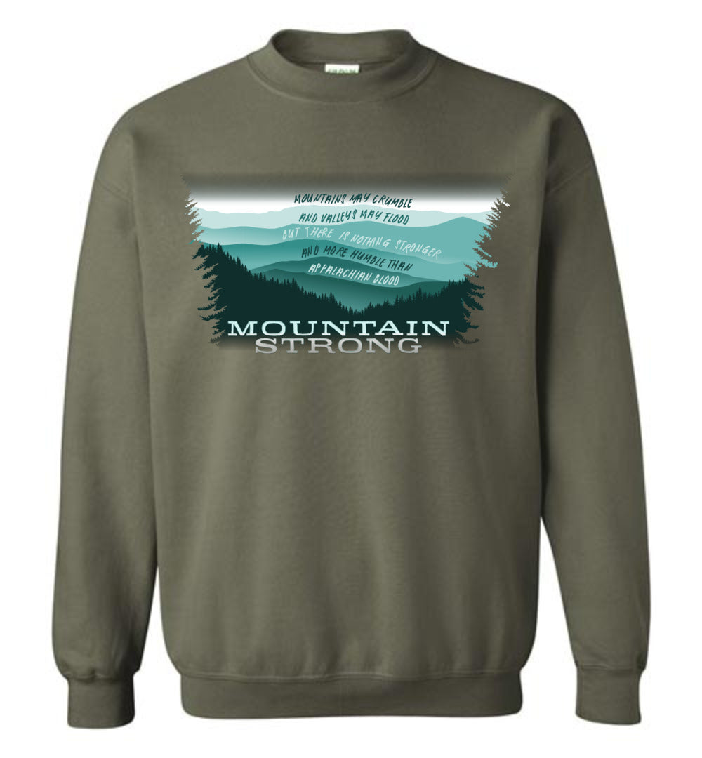 APPALACHIAN BLOOD - Hurricane Helene Disaster Fundraiser sweatshirt!