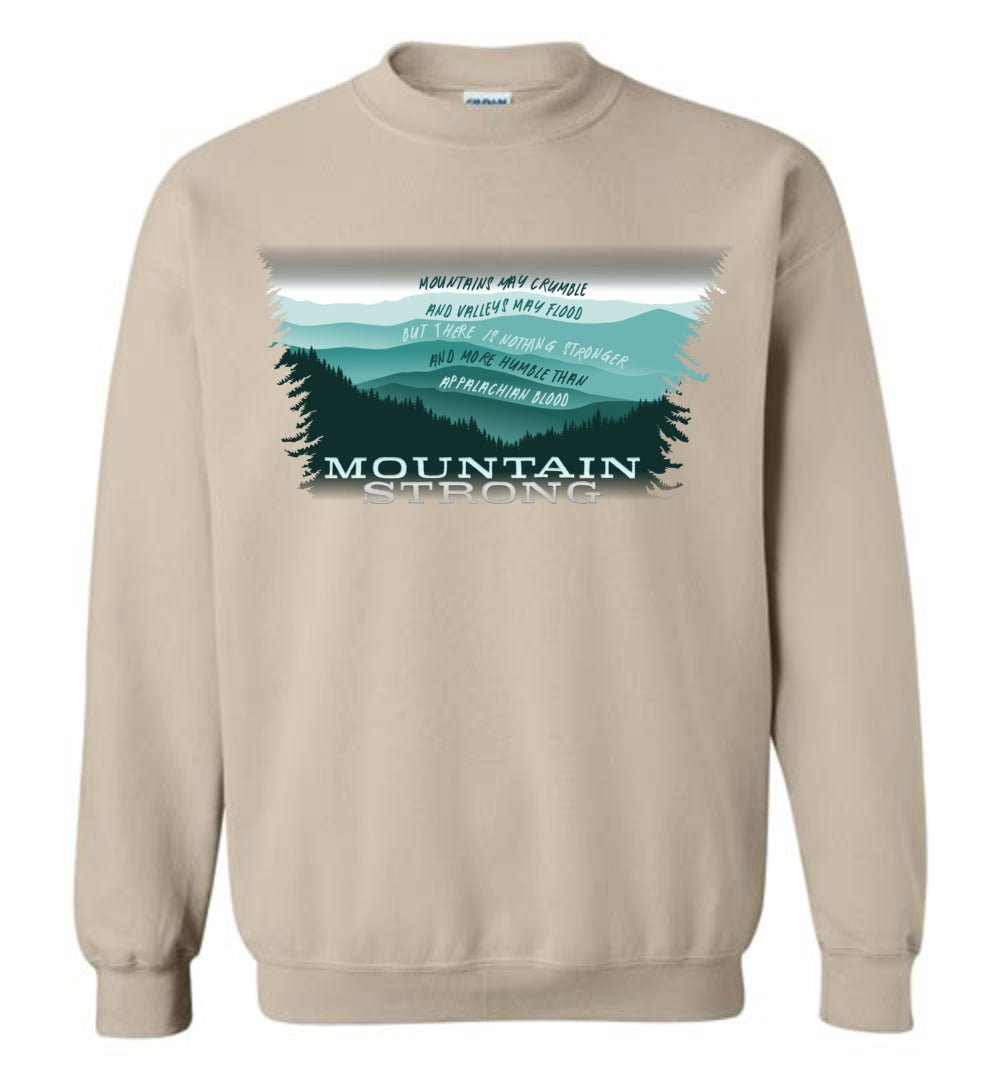 APPALACHIAN BLOOD - Hurricane Helene Disaster Fundraiser sweatshirt!