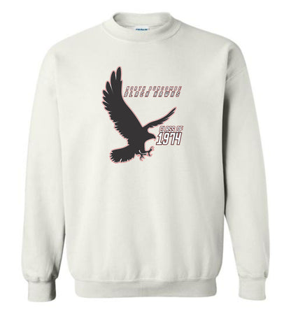 BLACK HAWKS! - Vintage 1974 Reunion Gear - Concept 002 Sweatshirt, Modern Sports Logo